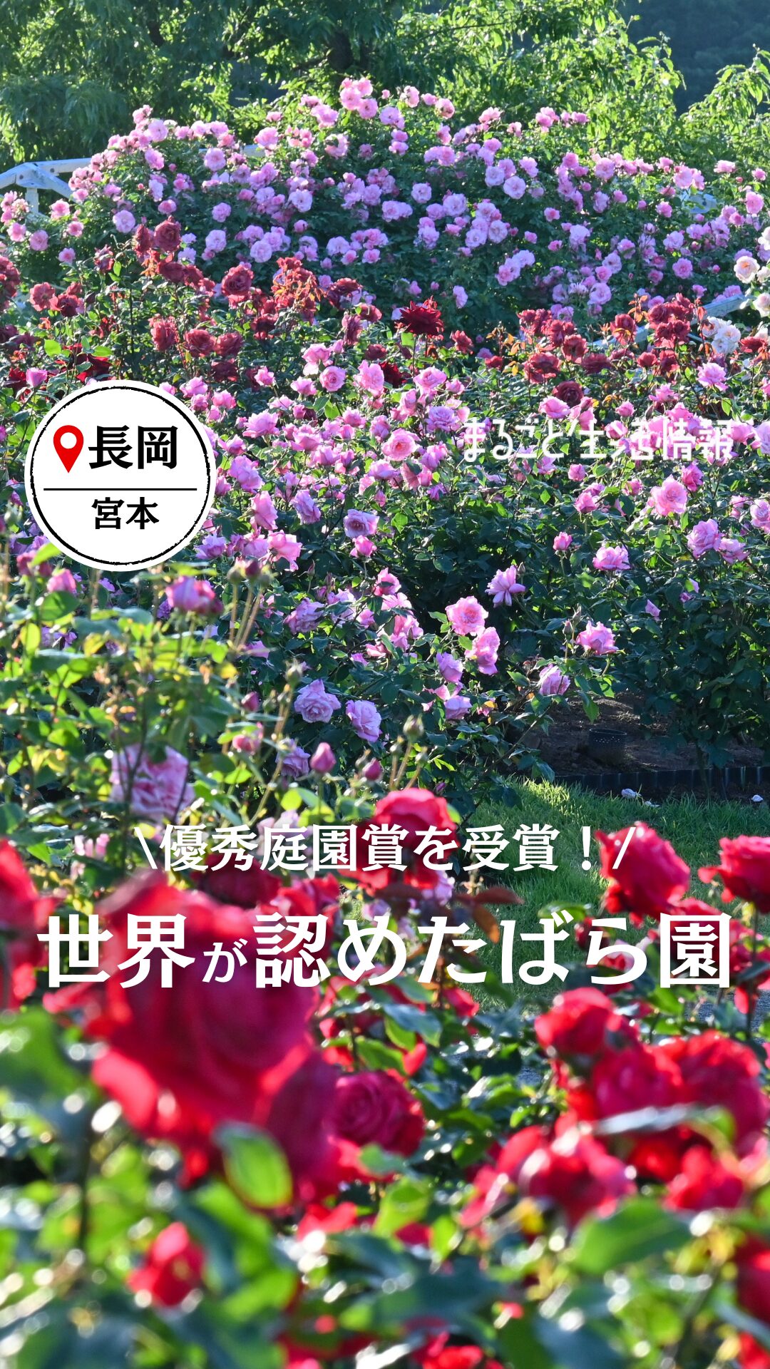 Instagramリール動画撮影・制作