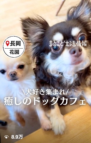 Instagramリール動画撮影・制作